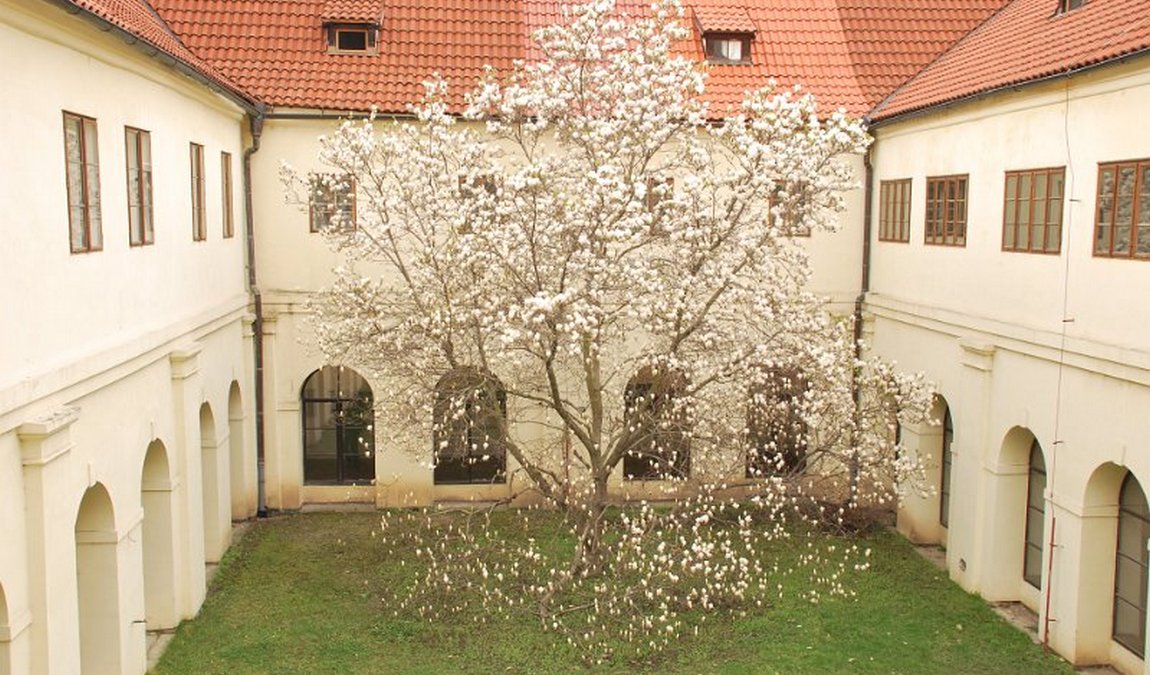 franciscan garden photo 3