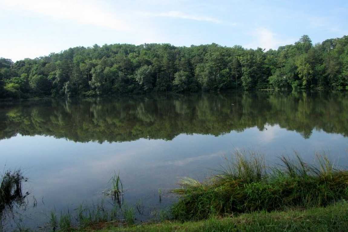 beaver lake bird sanctuary photo 7