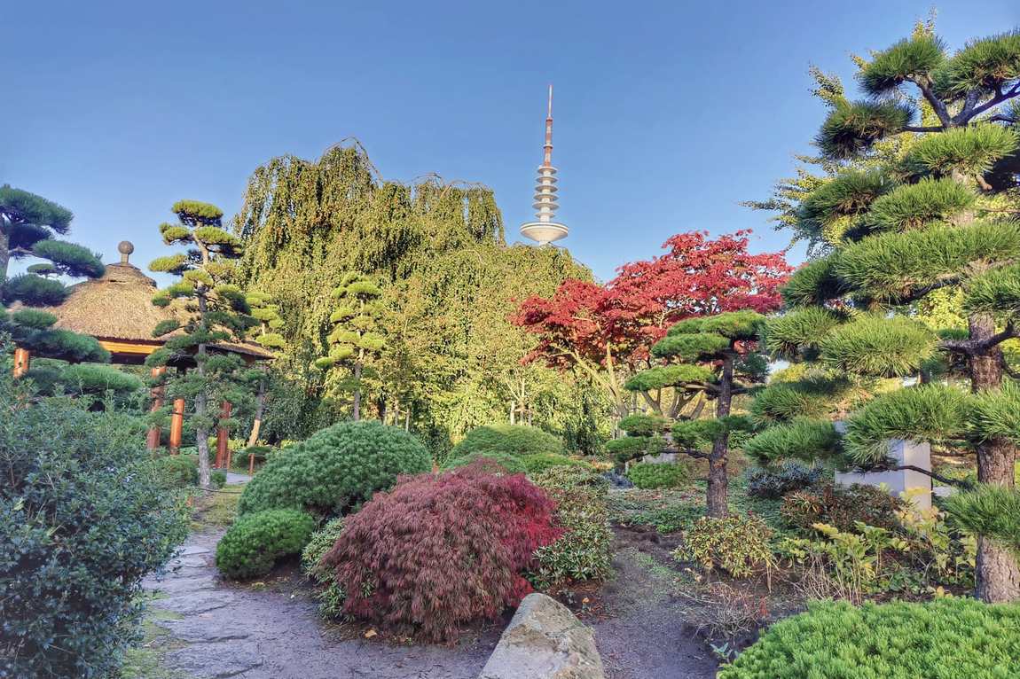 planten un blomen photo 2