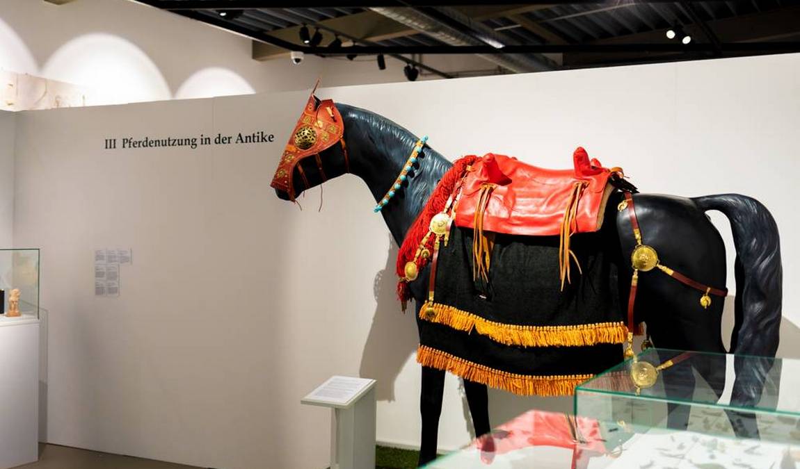 westphalian horse museum photo 6