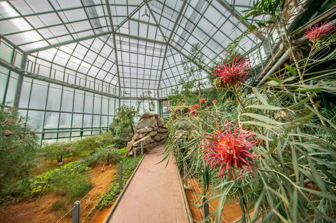 ботанический сад либерец photo 2