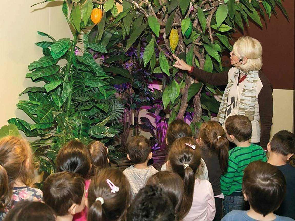 schoko museum vienna photo 2