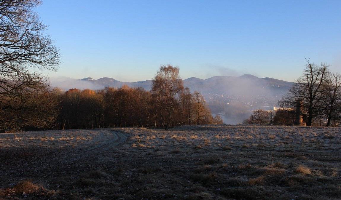 forest and wildpark rolandseck photo 7