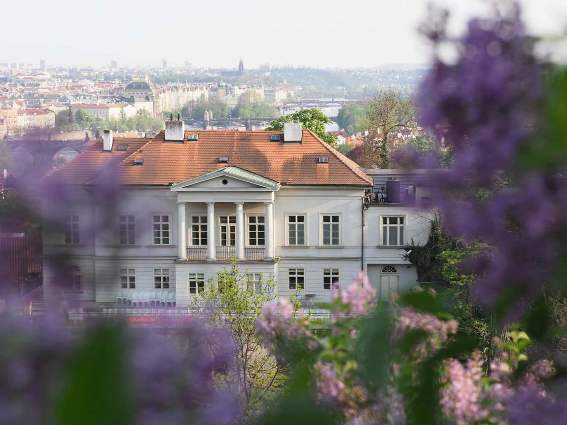 wenceslas vineyard photo 5