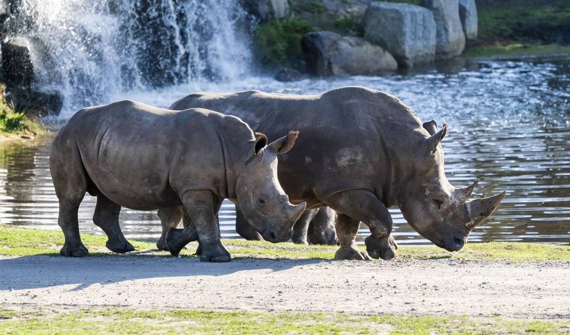 serengeti park hodenhagen photo 2