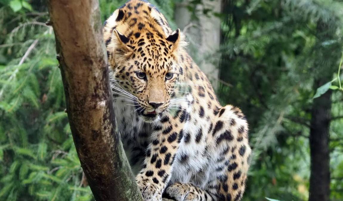 leipzig zoo photo 10