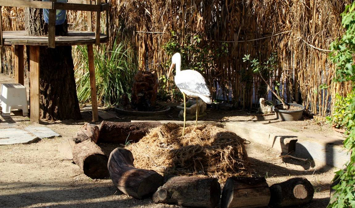 granja escuela el rodeo photo 2