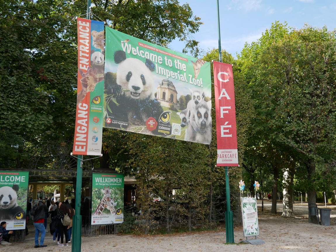 schönbrunn zoo photo 10