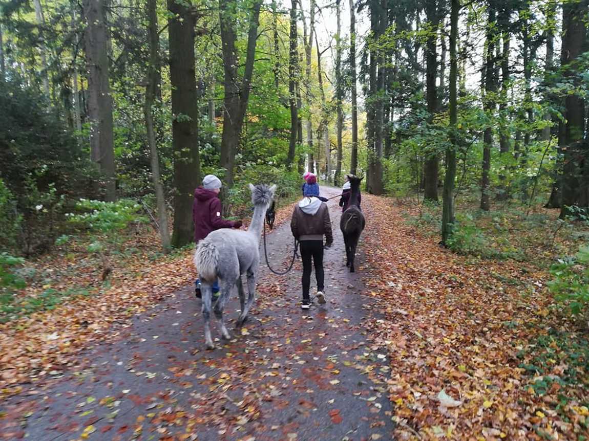 erlebnisbauernhof groedig photo 3