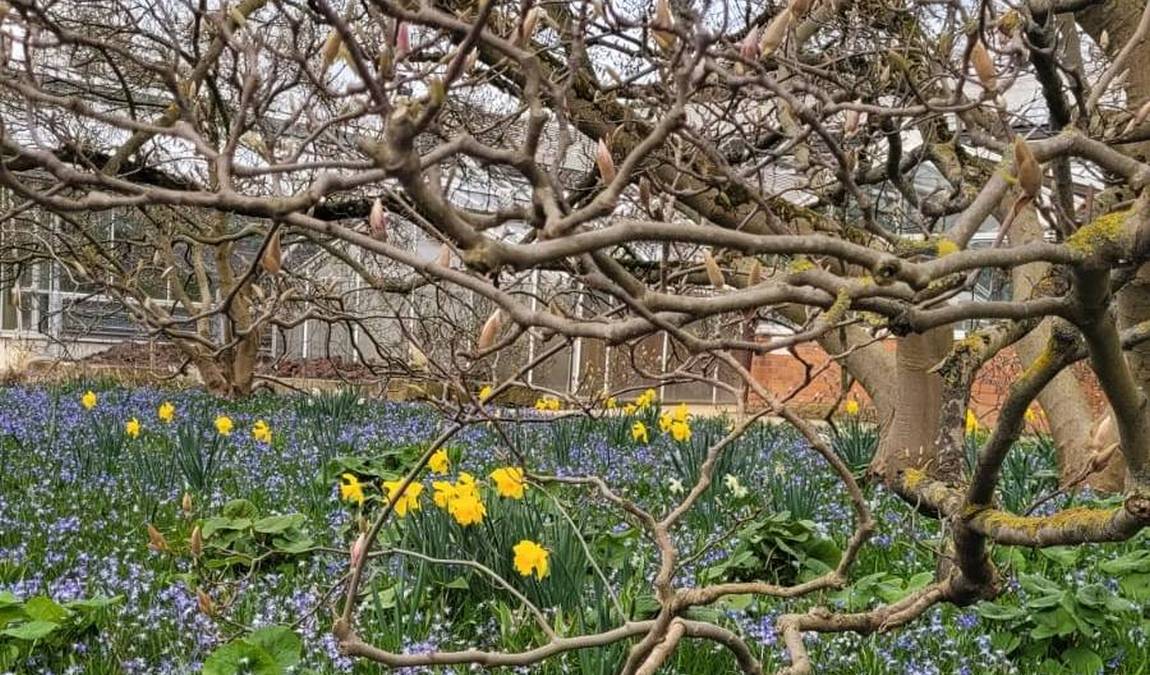 botanical garden of the technical university of braunschweig photo 2