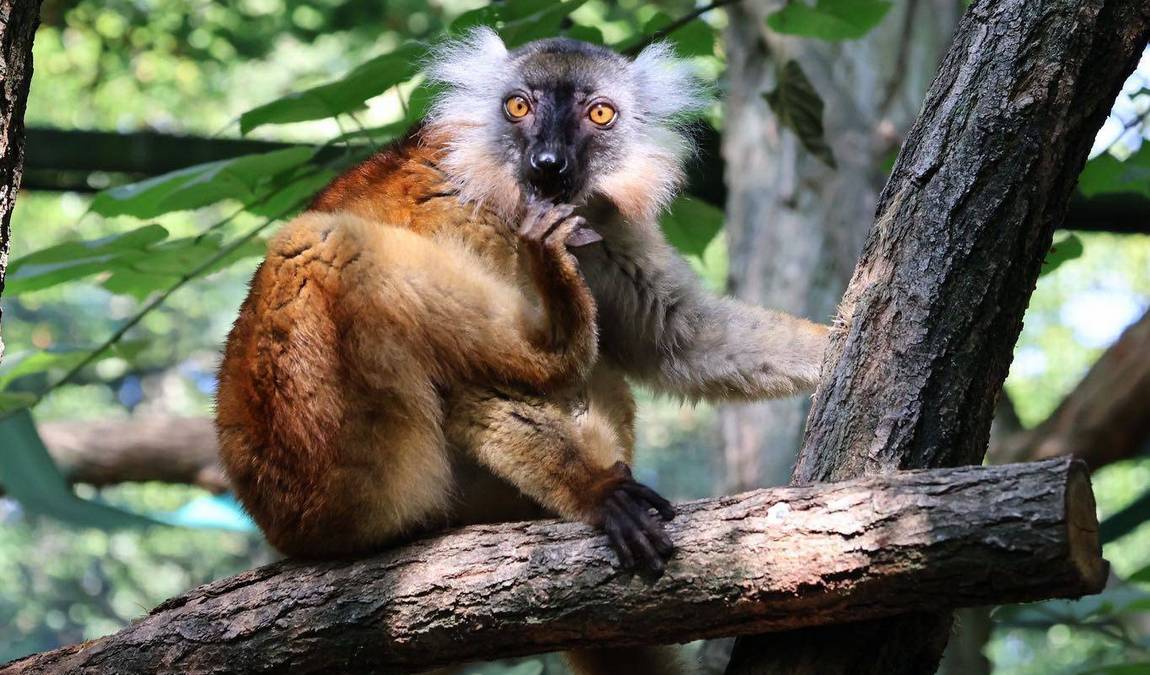 zoo eberswalde photo 4