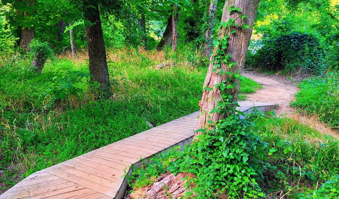 swepsonville river park photo 5