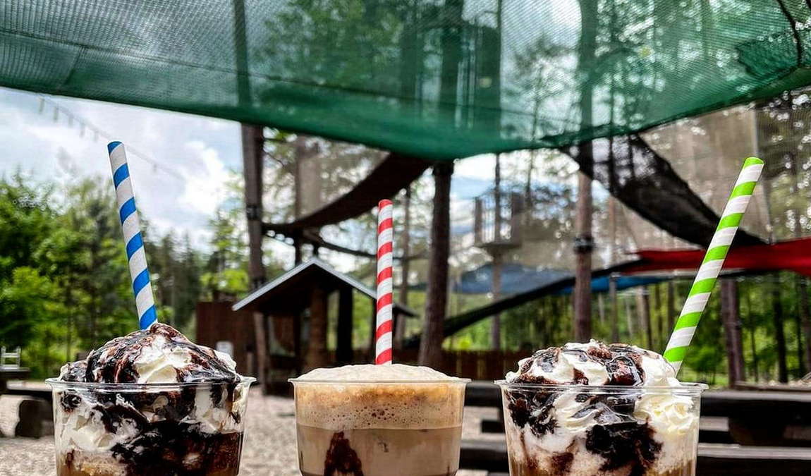 park na vetvi photo 3