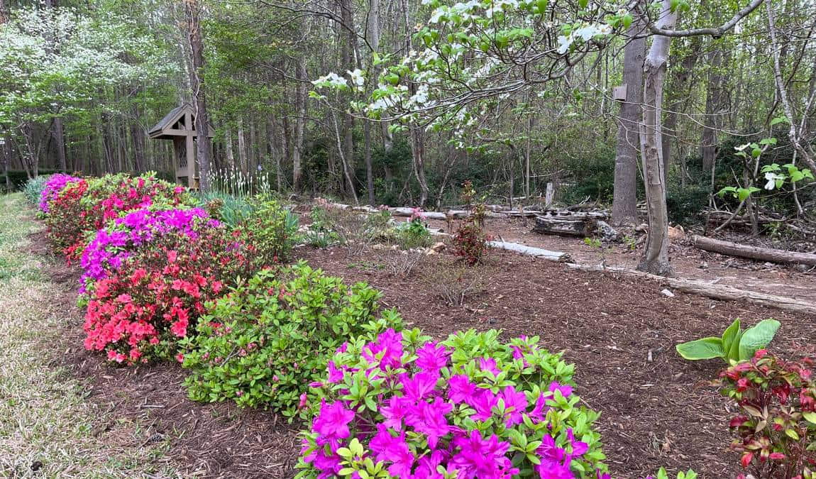 alamance battleground state historic site photo 5