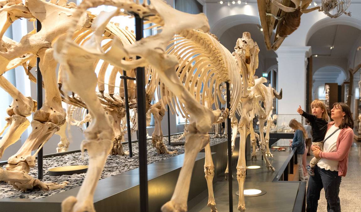 hessian state museum photo 3