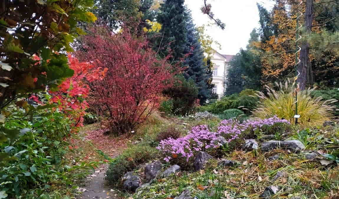 botanical garden of the faculty of science - masaryk university photo 10