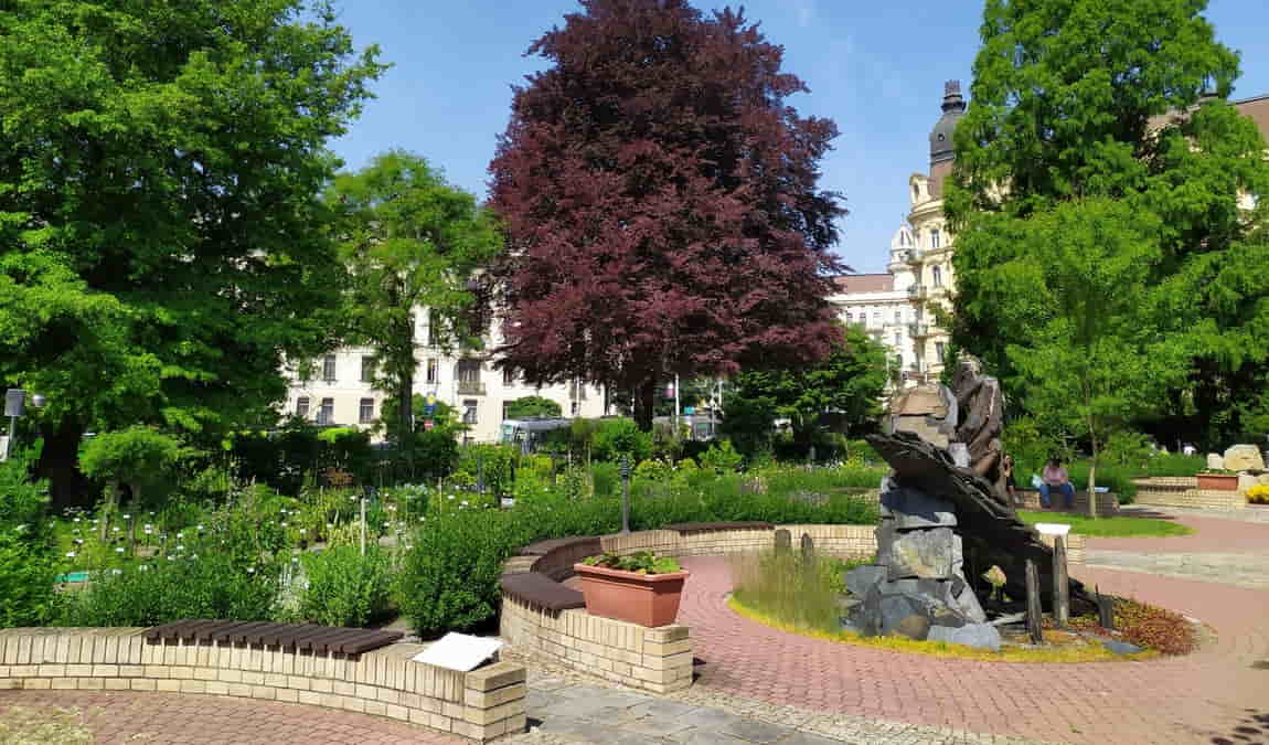 botanical garden of the faculty of science - masaryk university photo 7