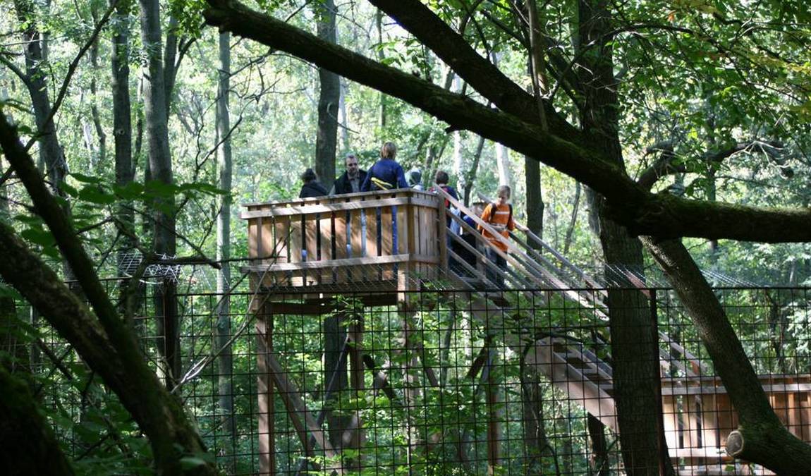 steppentierpark pamhagen photo 5