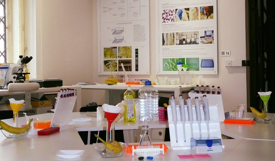 mendel museum photo 8