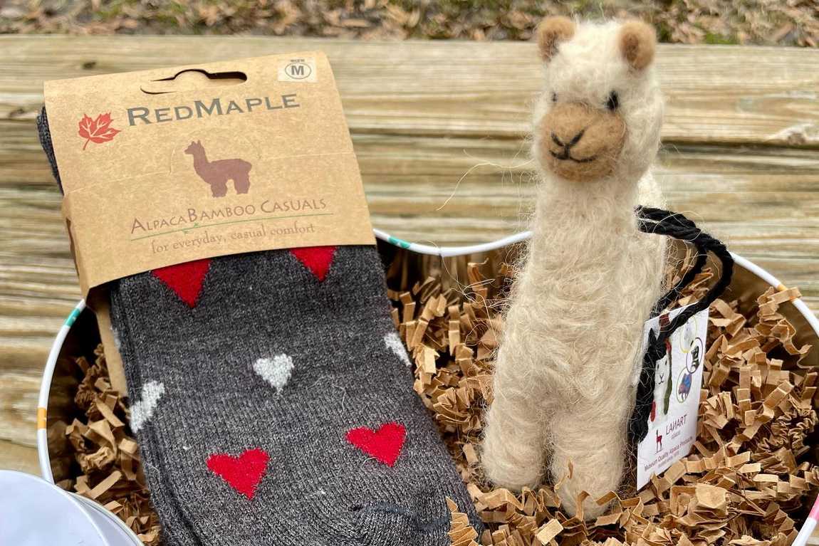 farm and fleece alpaca ranch photo 5