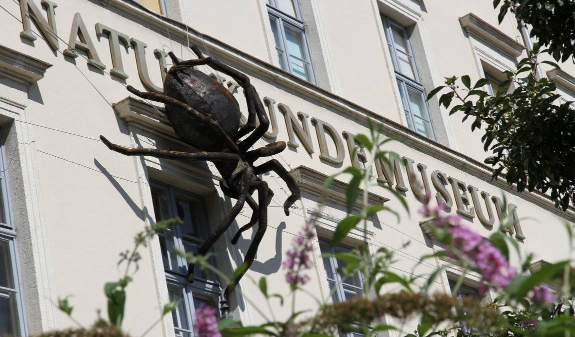 natural history museum photo 1