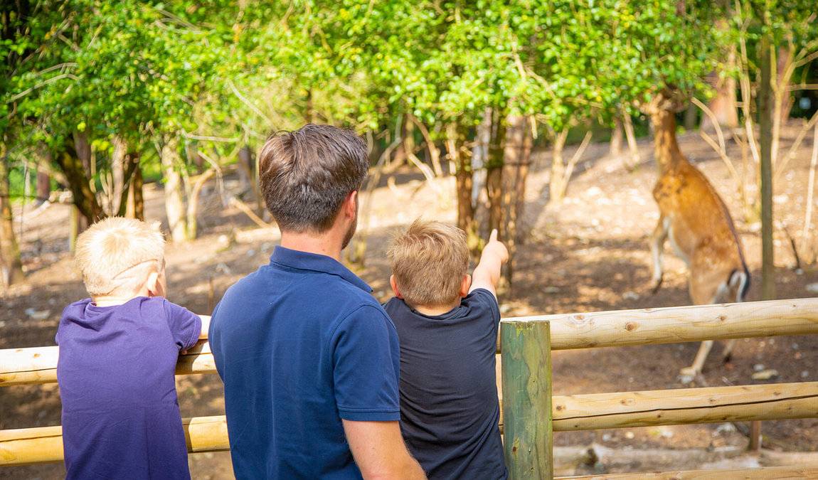 tierpark sommerhausen photo 2