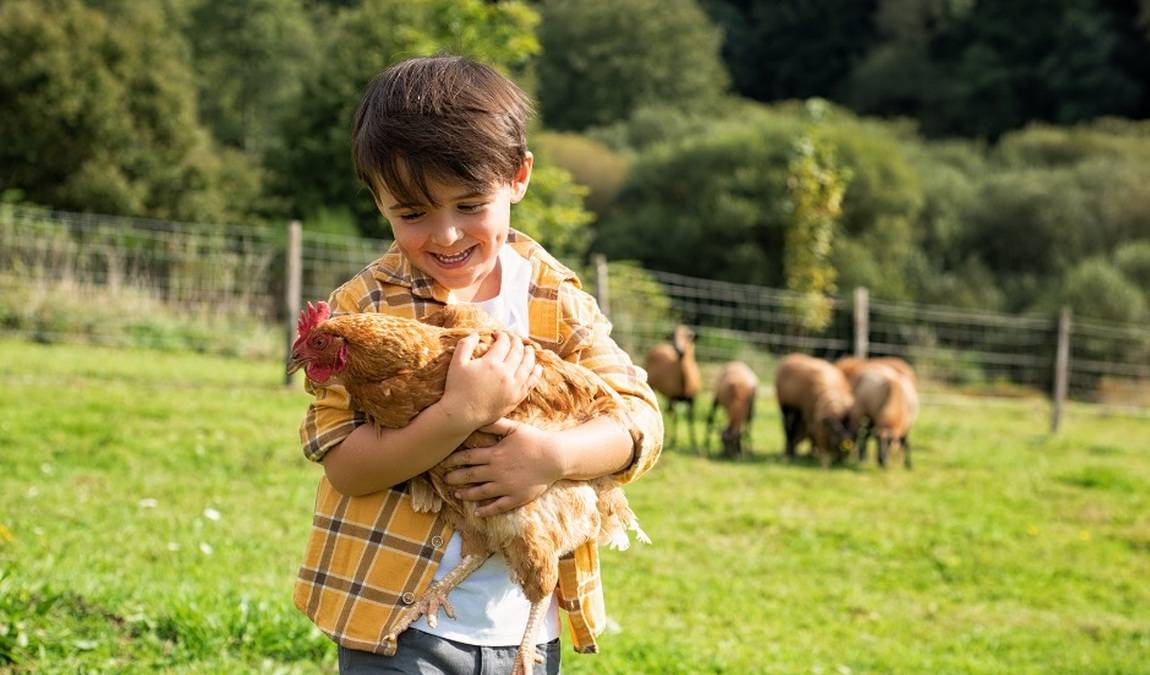 granja aventura park photo 1