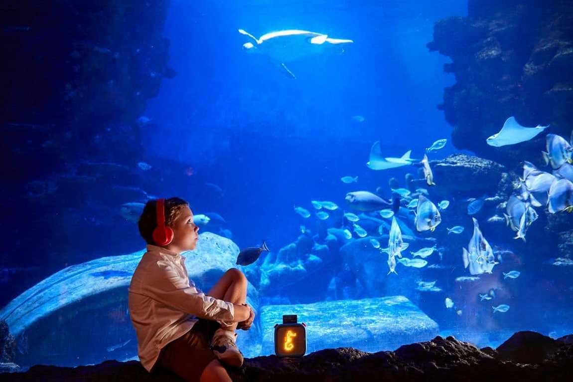 sea life charlotte-concord aquarium photo 1