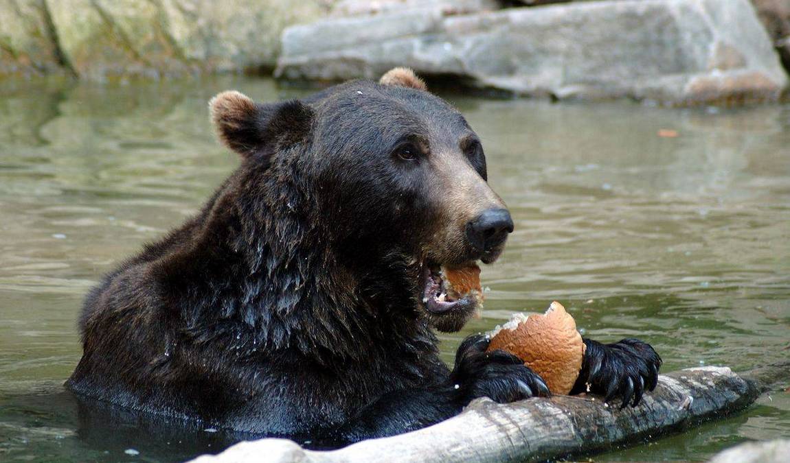 zoo and garden fasanerie photo 2