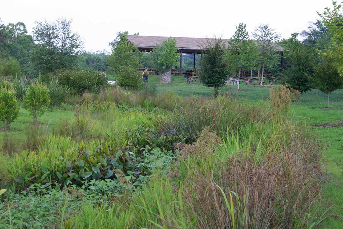 carrier park photo 3