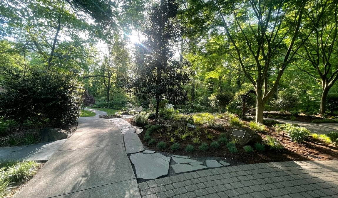 bog garden at benjamin park photo 4