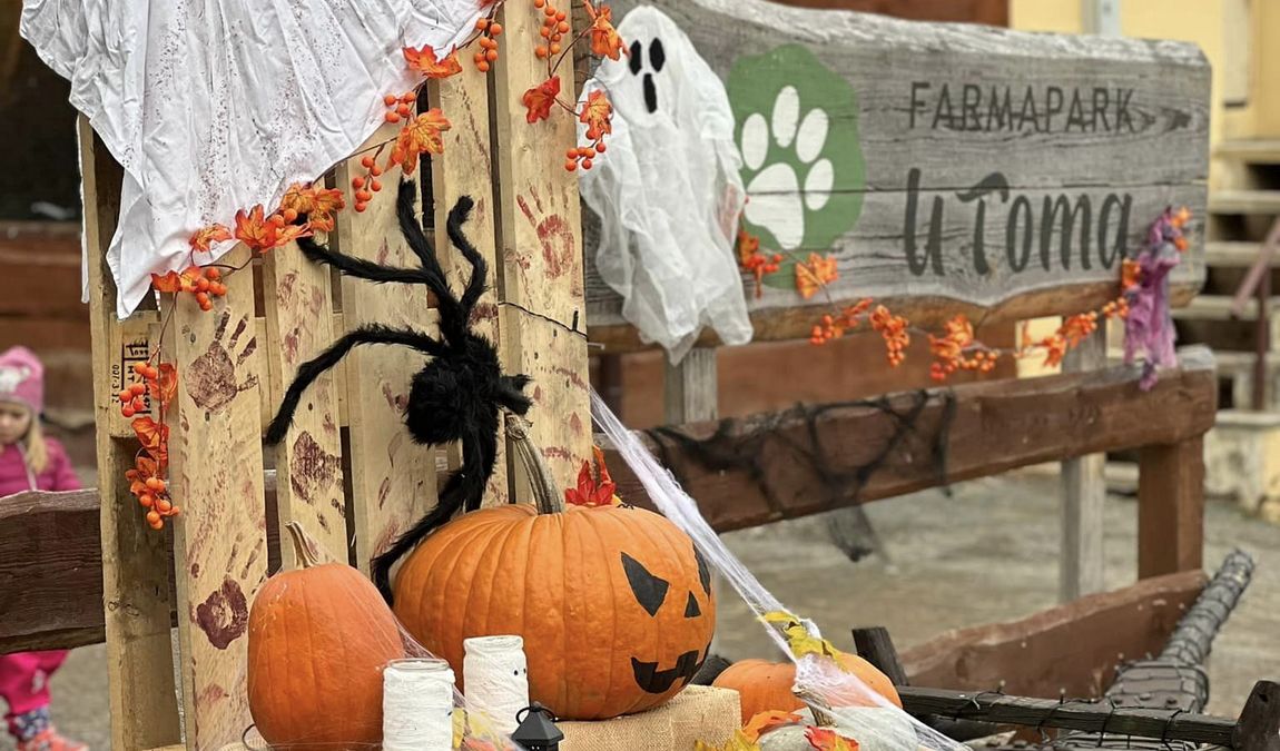 farmapark u toma photo 5