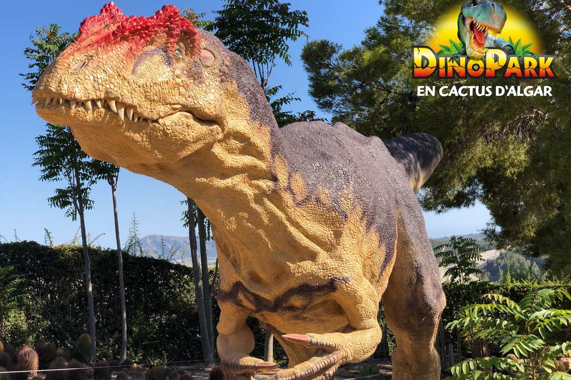 cactus d'algar and dinopark photo 2