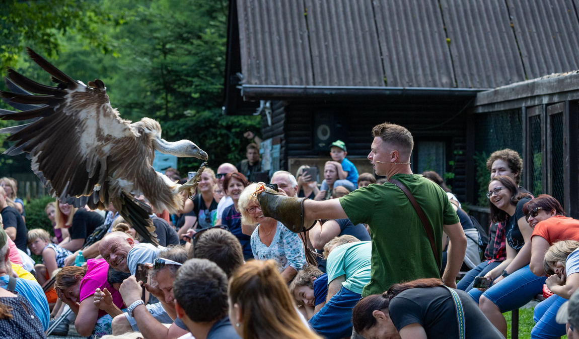 obora žleby photo 4