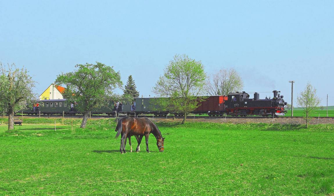 dollnitz railway wild robert photo 4