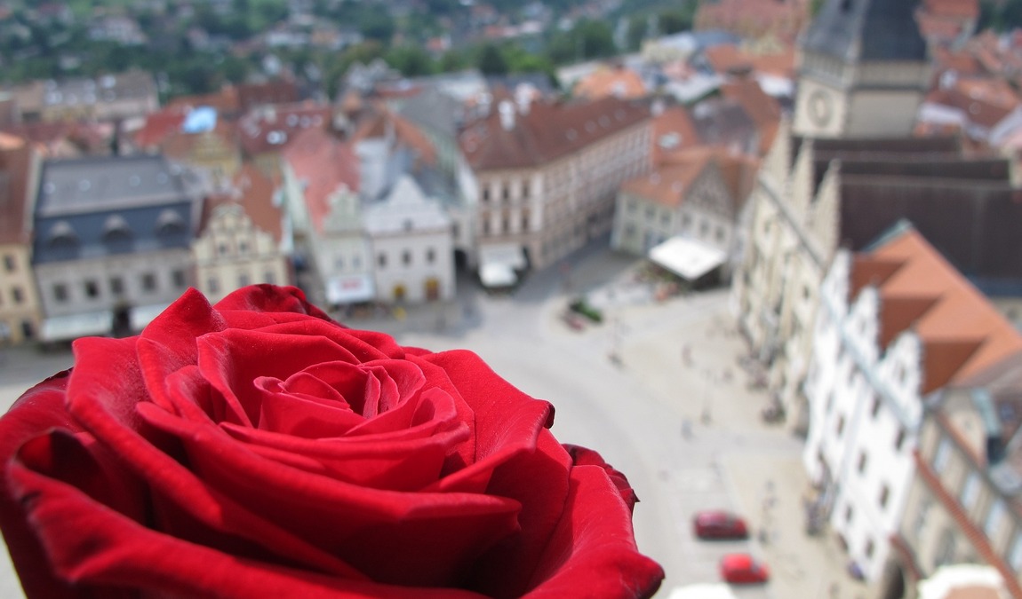 the house at the minute photo 6