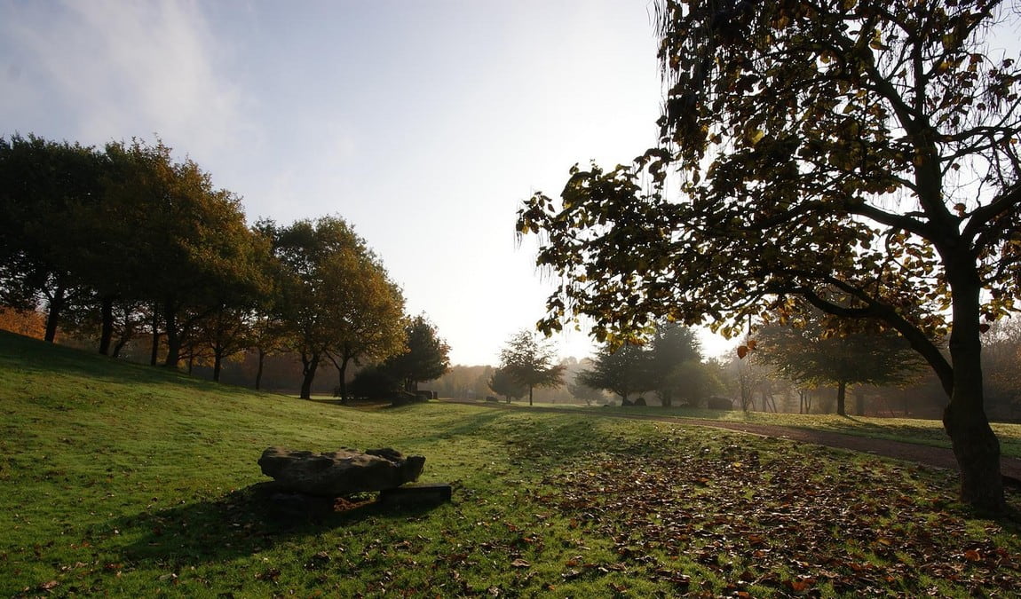 revierpark mattlerbusch photo 2