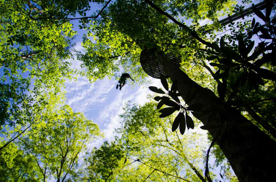 gorge zipline photo 3
