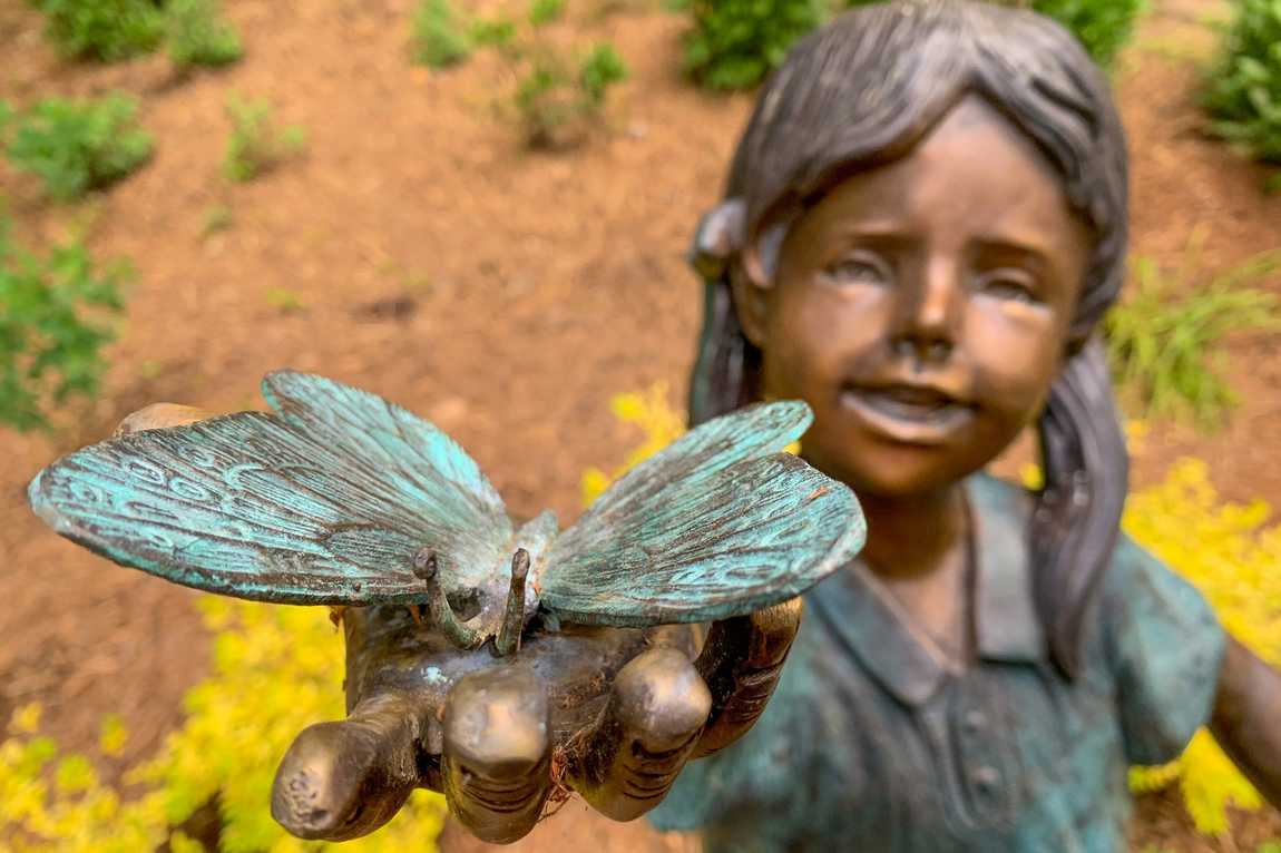 serenity garden photo 2