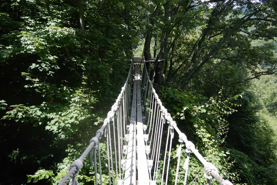 navitat canopy adventures photo 6