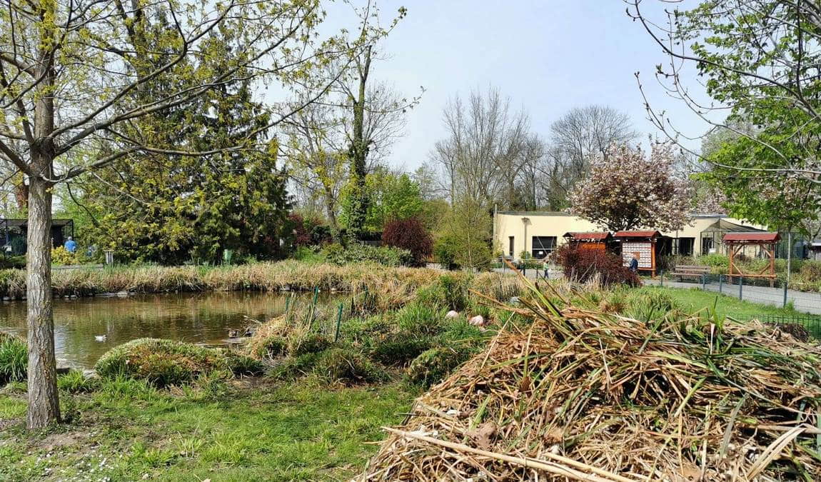 delitzsch zoo photo 2