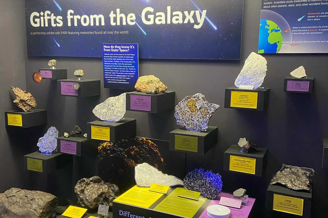 asheville museum of science photo 4