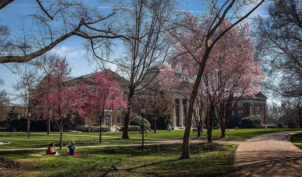 davidson college arboretum photo 3