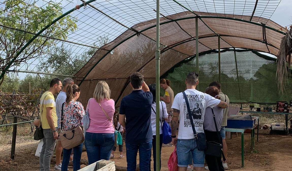 granja escuela cuna espartinas photo 3