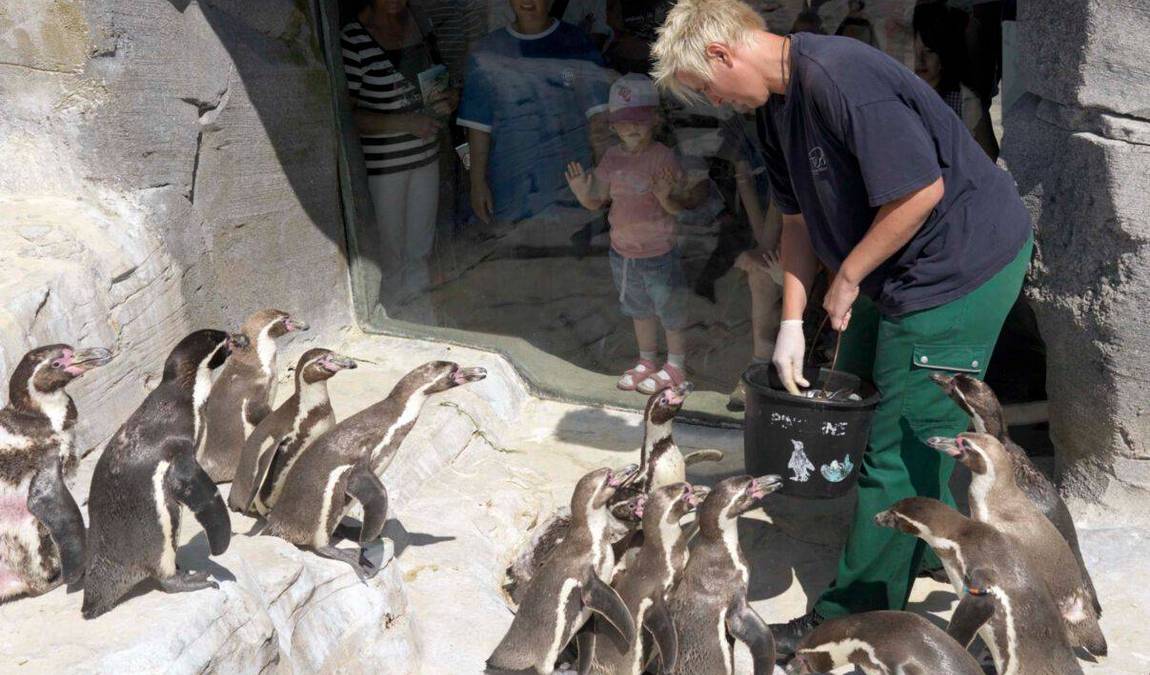 bremerhaven zoo photo 11