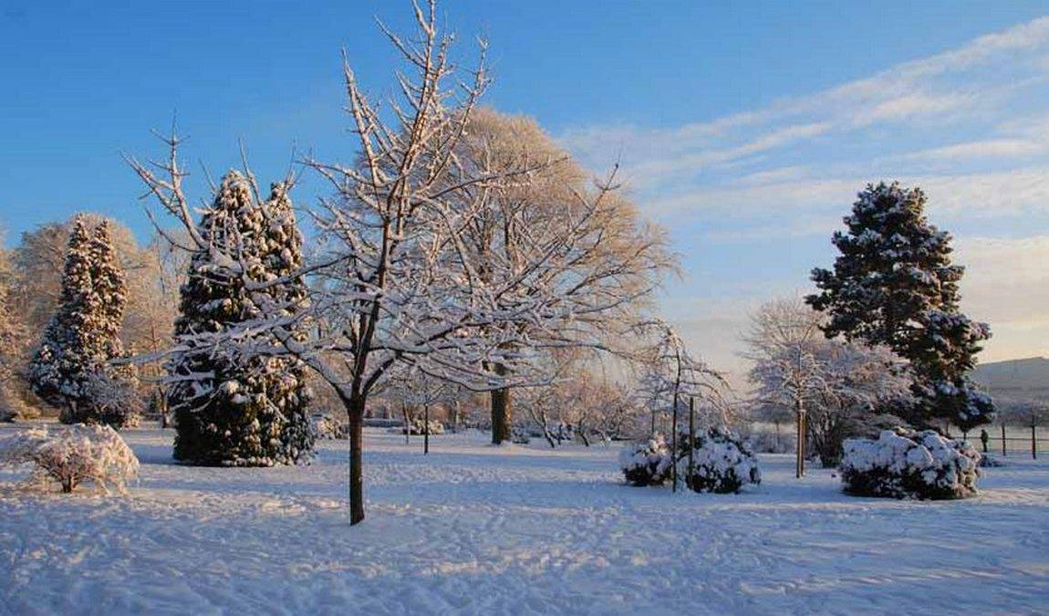 city garden vegesack photo 8