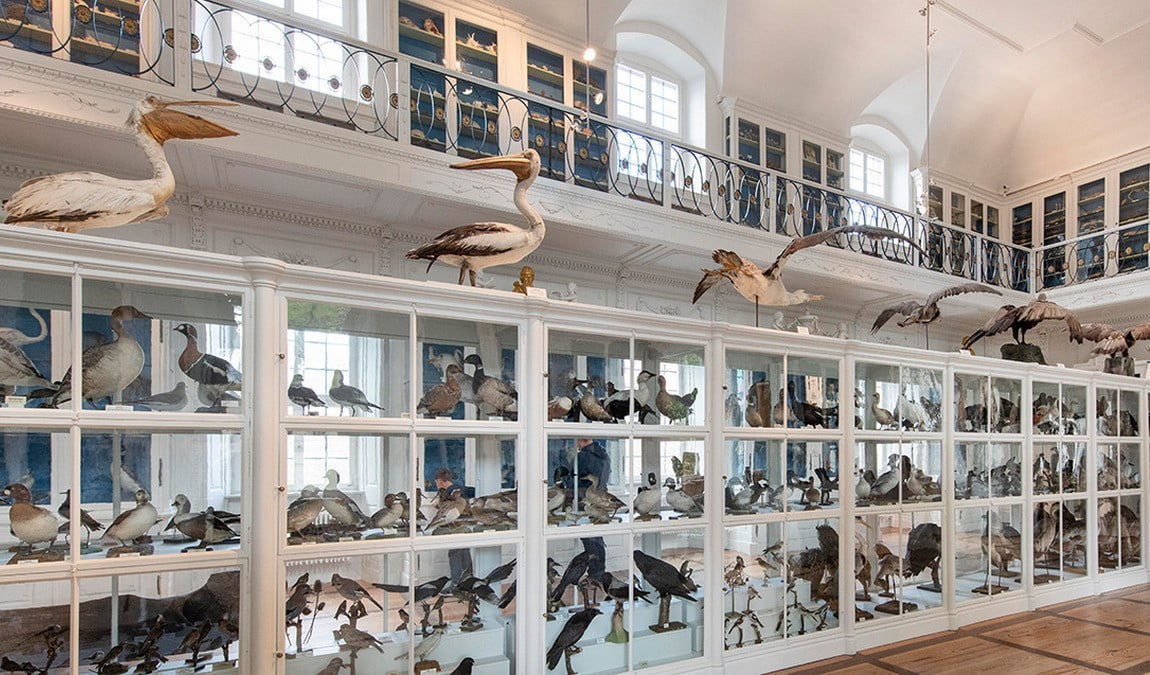 natural history museum photo 3