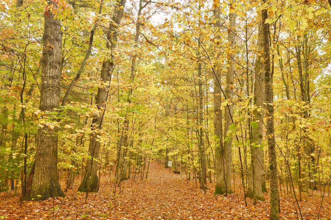 the north carolina arboretum photo 2