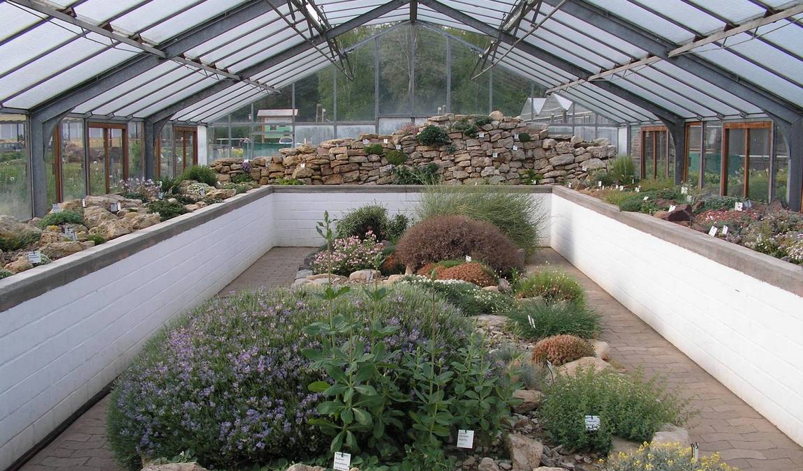 experimental botanical garden photo 3