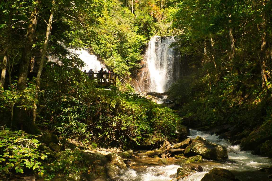 cradle of forestry photo 5